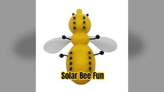 Solar Bee Toy Fun Green Energy Science