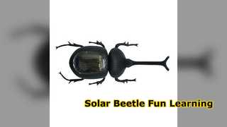 Solar Beetle Toy Fun Educational Learning for Kids