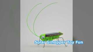 Green Solar Grhopper Toy Fun for Kids