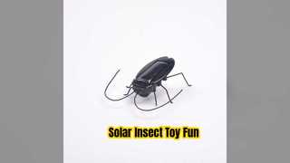 Eco Solar Insect Toy Fun Educational Play